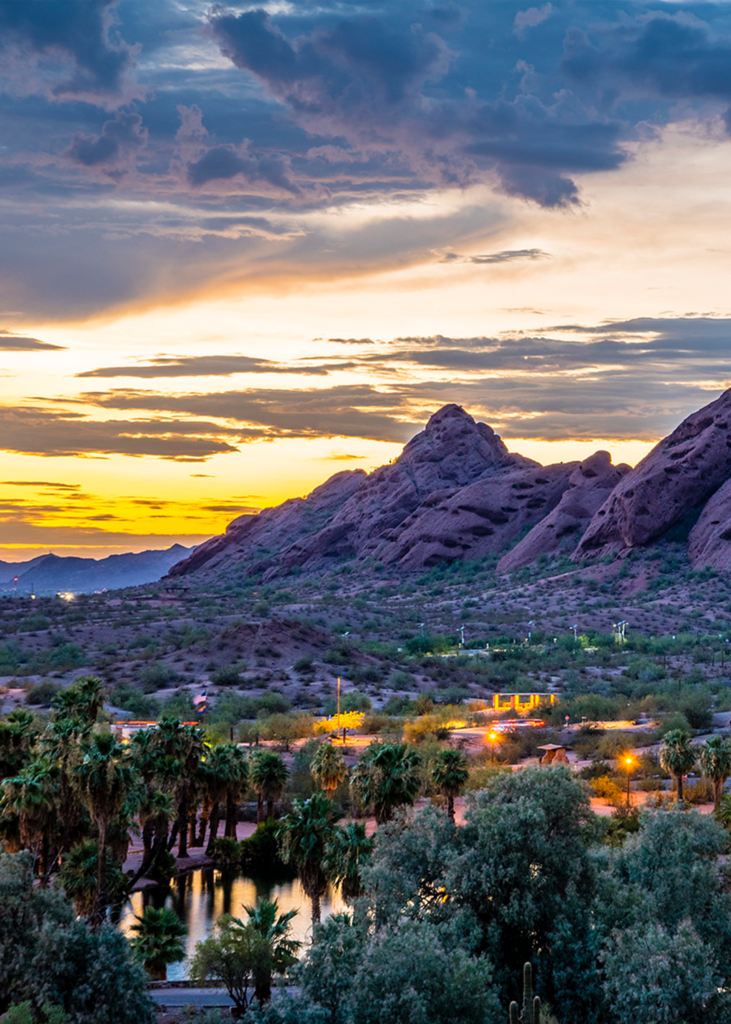 Phoenix Arizona sunset with palm trees in the foreground and rock formations in the background.