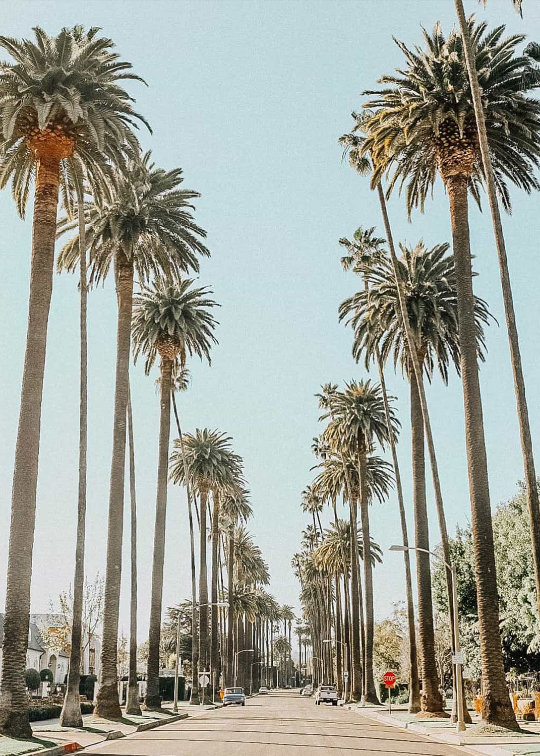 Hilton Garden Inn Los Angeles Airport in Los Angeles, CA