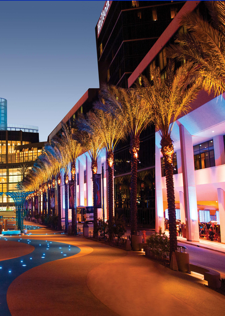 A row of palm frees outside a Hilton hotel in Anaheim California near Disneyland Park.